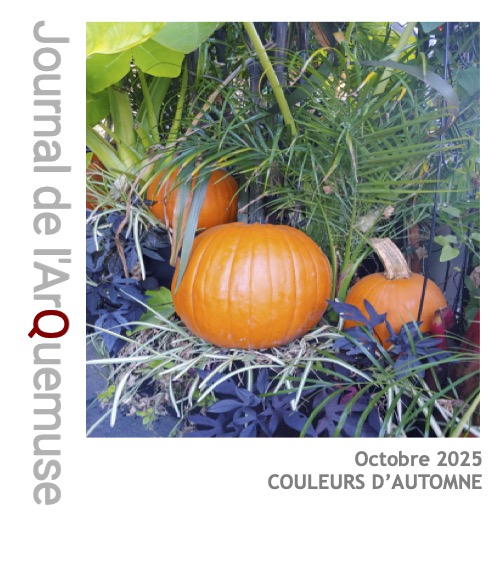 Journal Arquemuse Octobre 2025